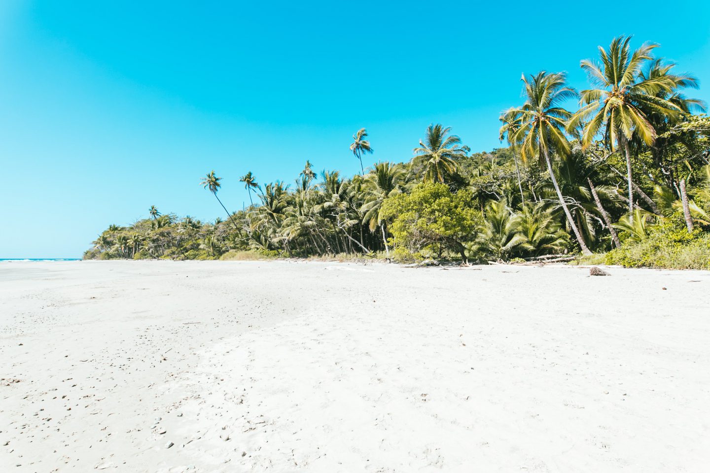 PLAYA HERMOSA: SUN BATHING INCLUSIVE